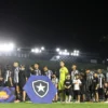 Botafogo colapsou na reta final do Campeonato Brasileir