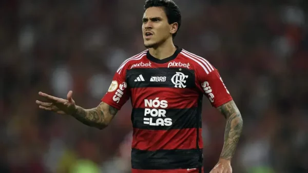Pedro comemora gol do Flamengo contra o Palmeiras